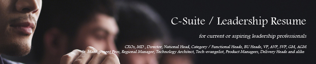 Leadership C-Suite resume writing for senior management professionals globally. 
