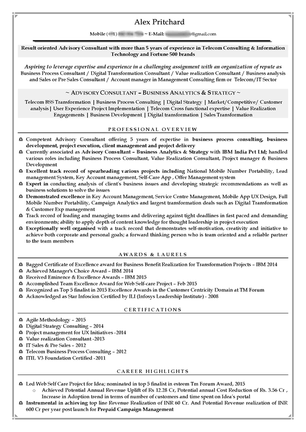 Consultant resume executive summary