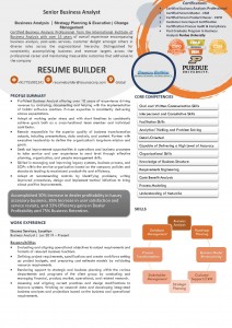 Infographic Resume 1