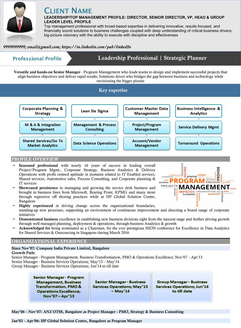 Leadership Visual Resume