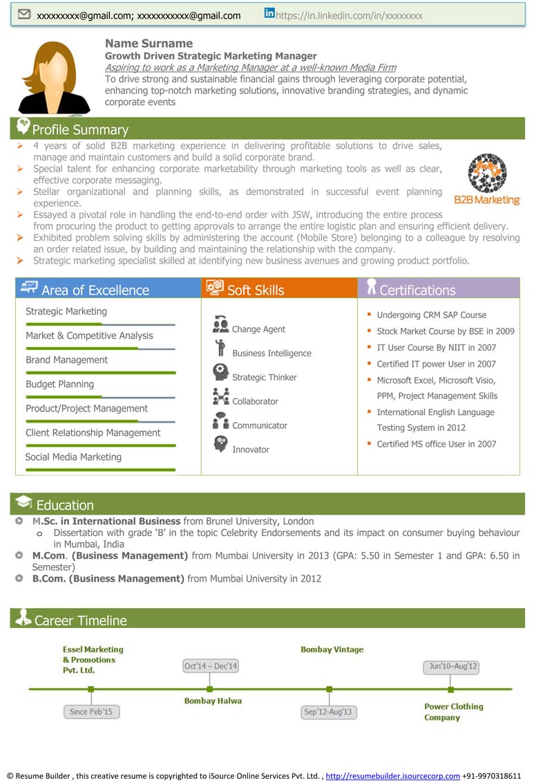 infographic resume timeline