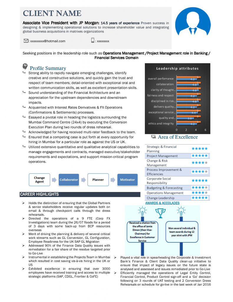 Visual resume sample